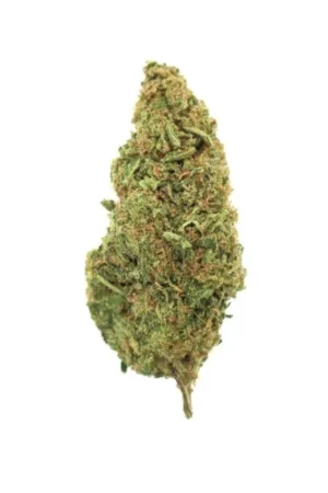 SWEET ISLAND SKUNK – Sativa (AAA)