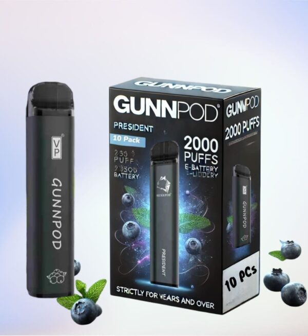 Buy Gunnpod President 10 pack 2000 online Australia